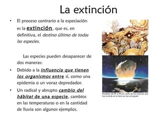 La extinción El proceso contrario a la especiación es la  extinción , que es, en definitiva, el  destino último de todas las especies . Las especies pueden desaparecer de dos maneras: Debido a la  influencia que tienen los organismos  entre  sí, como una epidemia o un voraz depredador. Un radical y abrupto  cambio del hábitat  de una especie , cambios en las temperaturas o en la cantidad de lluvia son algunos ejemplos. 