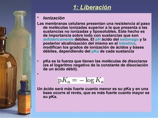 Ionización   Las membranas celulares presentan una resistencia al paso de moléculas ionizadas superior a la que presenta a las sustancias no ionizadas y liposolubles. Este hecho es de importancia sobre todo con sustancias que son  anfotéricamente  débiles. El  pH  ácido del  estómago  y la posterior alcalinización del mismo en el  intestino , modifican los grados de ionización de ácidos y bases débiles, dependiendo del  pKa  de cada sustancia   pKa es la fuerza que tienen las moléculas de disociarse (es el logaritmo negativo de la constante de disociación de un ácido débil). Un ácido será más fuerte cuanto menor es su pKa y en una base ocurre al revés, que es más fuerte cuanto mayor es su pKa.  1: Liberación   