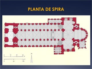 PLANTA DE SPIRA

 