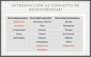 INTRODUCCIÓN AL CONCEPTO DE
BIODIVERSIDAD
Diversidad genética Diversidad especíﬁca Diversidad ecosistémica
Poblaciones Dominios y Reinos Biomas
Individuos Filos Bioregiones
Cromosomas Familias Paisajes
Genes Género Ecosistemas
Nucleótidos Especies Hábitats
Subespecies Nicho
Poblaciones Poblaciones
Individuos
 