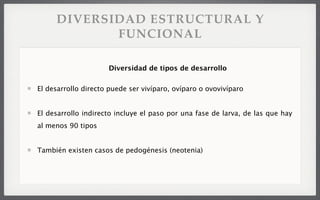 DIVERSIDAD ESTRUCTURAL Y
FUNCIONAL
El desarrollo directo puede ser vivíparo, ovíparo o ovovivíparo
El desarrollo indirecto incluye el paso por una fase de larva, de las que hay
al menos 90 tipos
También existen casos de pedogénesis (neotenia)
Diversidad de tipos de desarrollo
 
