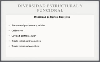 DIVERSIDAD ESTRUCTURAL Y
FUNCIONAL
Sin tracto digestivo en el adulto
Celénteron
Cavidad gastrovascular
Tracto intestinal incompleto
Tracto intestinal completo
Diversidad de tractos digestivos
 
