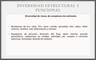 DIVERSIDAD ESTRUCTURAL Y
FUNCIONAL
Receptores de luz, calor, frío, tacto, sonido, gravedad, olor, sabor, dolor
externo, hambre, sed, deformación y presión
Receptores de posición, dirección del ﬂujo, dolor interno, presión
atmosférica, radiaciones no visibles, salinidad, pH, campos o corriente
eléctricas, humedad, dióxido de carbono
Diversidad de clases de receptores de estímulos
 