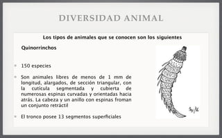 150 especies
Son animales libres de menos de 1 mm de
longitud, alargados, de sección triangular, con
la cutícula segmentada y cubierta de
numerosas espinas curvadas y orientadas hacia
atrás. La cabeza y un anillo con espinas froman
un conjunto retráctil
El tronco posee 13 segmentos superﬁciales
Los tipos de animales que se conocen son los siguientes
Quinorrinchos
DIVERSIDAD ANIMAL
 