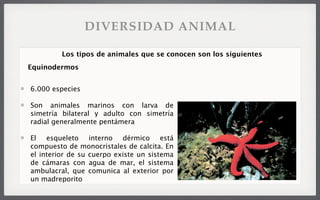 6.000 especies
Son animales marinos con larva de
simetría bilateral y adulto con simetría
radial generalmente pentámera
El esqueleto interno dérmico está
compuesto de monocristales de calcita. En
el interior de su cuerpo existe un sistema
de cámaras con agua de mar, el sistema
ambulacral, que comunica al exterior por
un madreporito
Los tipos de animales que se conocen son los siguientes
Equinodermos
DIVERSIDAD ANIMAL
 