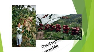 Introduccion a la Agronomia