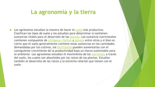 La agronomía y la tierra
 Los agrónomos estudian la manera de hacer el suelo más productivo.
Clasifican los tipos de suelo y los estudian para determinar si contienen
sustancias vitales para el desarrollo de las plantas. Las sustancia nutricionales
contienen compuestos de nitrógeno, fósforo y potasio entre otros y si bien es
cierto que el suelo generalmente contiene estas sustancias en las cantidades
demandadas por los cultivos, los fertilizantespueden aumentarlas con el
consiguiente crecimiento de la productividad bajo un marco sustentable para
el ambiente. Los agronómos estudian el movimiento de los nutrientes a través
del suelo, los cuales son absorbidos por las raíces de las plantas. Estudian
también el desarrollo de las raíces y la estrecha relación que tienen con el
suelo
 