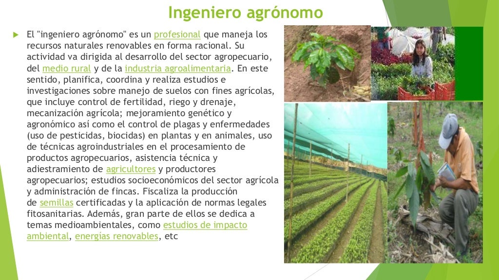 Agronomia Significado