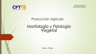 Producción Agrícola
Morfología y Fisiología
Vegetal
PRODUCCIÓN AGRÍCOLA
HUGO MOREL RODRÍGUEZ
Putre - Chile
 