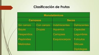 Clasificación de Frutos
 
