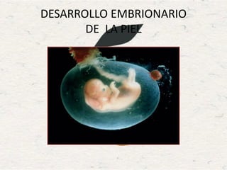 DESARROLLO EMBRIONARIO
DE LA PIEL
 