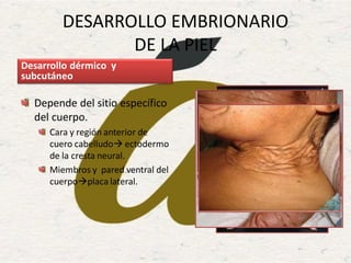 DESARROLLO EMBRIONARIO
DE LA PIEL
Desarrollo dérmico y
subcutáneo
Depende del sitio específico
del cuerpo.
Cara y región anterior de
cuero cabelludo ectodermo
de la cresta neural.
Miembros y pared ventral del
cuerpoplaca lateral.
 
