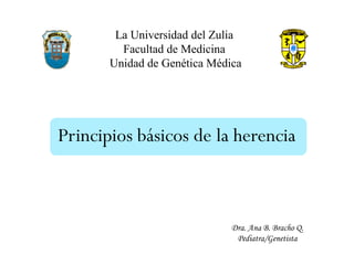 Principios básicos de la herencia
Dra. Ana B. Bracho Q.
Pediatra/Genetista
La Universidad del Zulia
Facultad de Medicina
Unidad de Genética Médica
 