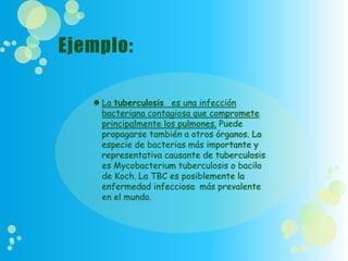 Clases de párrafo según la ubicacion de la  idea principal.