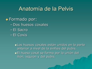 Anatomía de la Pelvis
 Formado por:
– Dos huesos coxales
– El Sacro
– El Coxis
Los huesos coxales están unidos en la par...