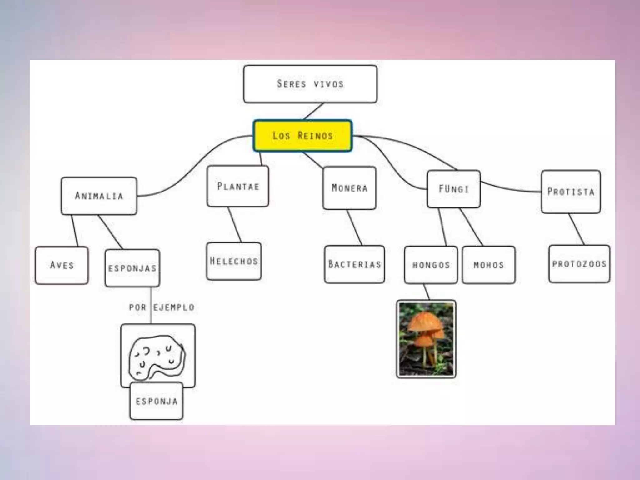clasificación científica de los seres vivos | PPTX