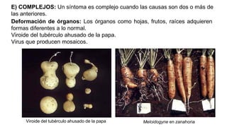 1_Clasificación de las enfermedades_bioticas_abioticas_signos_sintomas.pdf