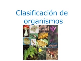 Clasificación de
organismos
1
 