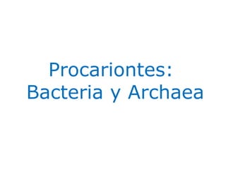 Procariontes:
Bacteria y Archaea
12
 