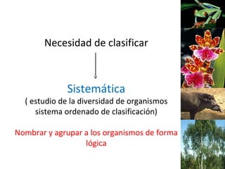 3
Necesidad de clasificar
Sistemática
( estudio de la diversidad de organismos
sistema ordenado de clasificación)
Nombrar y agrupar a los organismos de forma
lógica
 