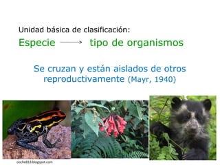 Unidad básica de clasificación:
Especie tipo de organismos
Se cruzan y están aislados de otros
reproductivamente (Mayr, 1940)
4
ooche813.blogspot.com 
 