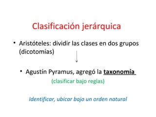 Clasificación jerárquica
• Aristóteles: dividir las clases en dos grupos
(dicotomías)
• Agustín Pyramus, agregó la taxonomía
(clasificar bajo reglas)
Identificar, ubicar bajo un orden natural
6
 