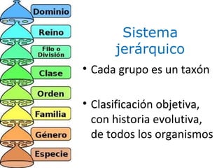 Sistema
jerárquico
7
• Cada grupo es un taxón
• Clasificación objetiva,
con historia evolutiva,
de todos los organismos
 