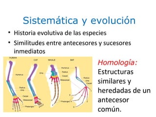 Sistemática y evolución
E8
Homología:
Estructuras
similares y
heredadas de un
antecesor
común.
• Historia evolutiva de las especies
• Similitudes entre antecesores y sucesores
inmediatos
 