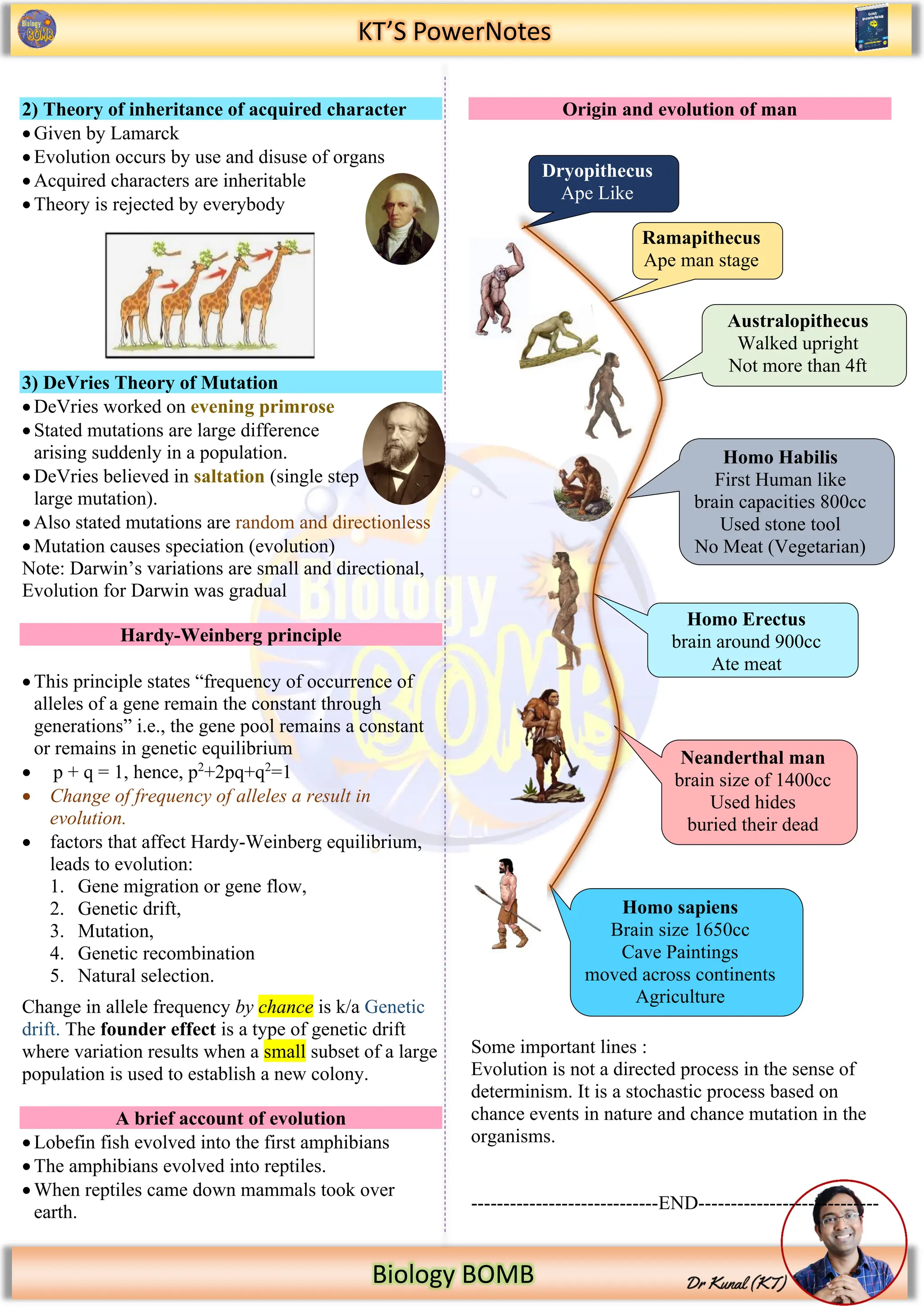 KT’S PowerNotes
Biology BOMB
2) Theory of inheritance of acquired character
• Given by Lamarck
• Evolution occurs by use and disuse of organs
• Acquired characters are inheritable
• Theory is rejected by everybody
3) DeVries Theory of Mutation
• DeVries worked on evening primrose
• Stated mutations are large difference
arising suddenly in a population.
• DeVries believed in saltation (single step
large mutation).
• Also stated mutations are random and directionless
• Mutation causes speciation (evolution)
Note: Darwin’s variations are small and directional,
Evolution for Darwin was gradual
Hardy-Weinberg principle
• This principle states “frequency of occurrence of
alleles of a gene remain the constant through
generations” i.e., the gene pool remains a constant
or remains in genetic equilibrium
• p + q = 1, hence, p2
+2pq+q2
=1
• Change of frequency of alleles a result in
evolution.
• factors that affect Hardy-Weinberg equilibrium,
leads to evolution:
1. Gene migration or gene flow,
2. Genetic drift,
3. Mutation,
4. Genetic recombination
5. Natural selection.
Change in allele frequency by chance is k/a Genetic
drift. The founder effect is a type of genetic drift
where variation results when a small subset of a large
population is used to establish a new colony.
A brief account of evolution
• Lobefin fish evolved into the first amphibians
• The amphibians evolved into reptiles.
• When reptiles came down mammals took over
earth.
Origin and evolution of man
Some important lines :
Evolution is not a directed process in the sense of
determinism. It is a stochastic process based on
chance events in nature and chance mutation in the
organisms.
-----------------------------END----------------------------
Dryopithecus
Ape Like
Ramapithecus
Ape man stage
Australopithecus
Walked upright
Not more than 4ft
Homo Habilis
First Human like
brain capacities 800cc
Used stone tool
No Meat (Vegetarian)
Homo Erectus
brain around 900cc
Ate meat
Neanderthal man
brain size of 1400cc
Used hides
buried their dead
Homo sapiens
Brain size 1650cc
Cave Paintings
moved across continents
Agriculture
 