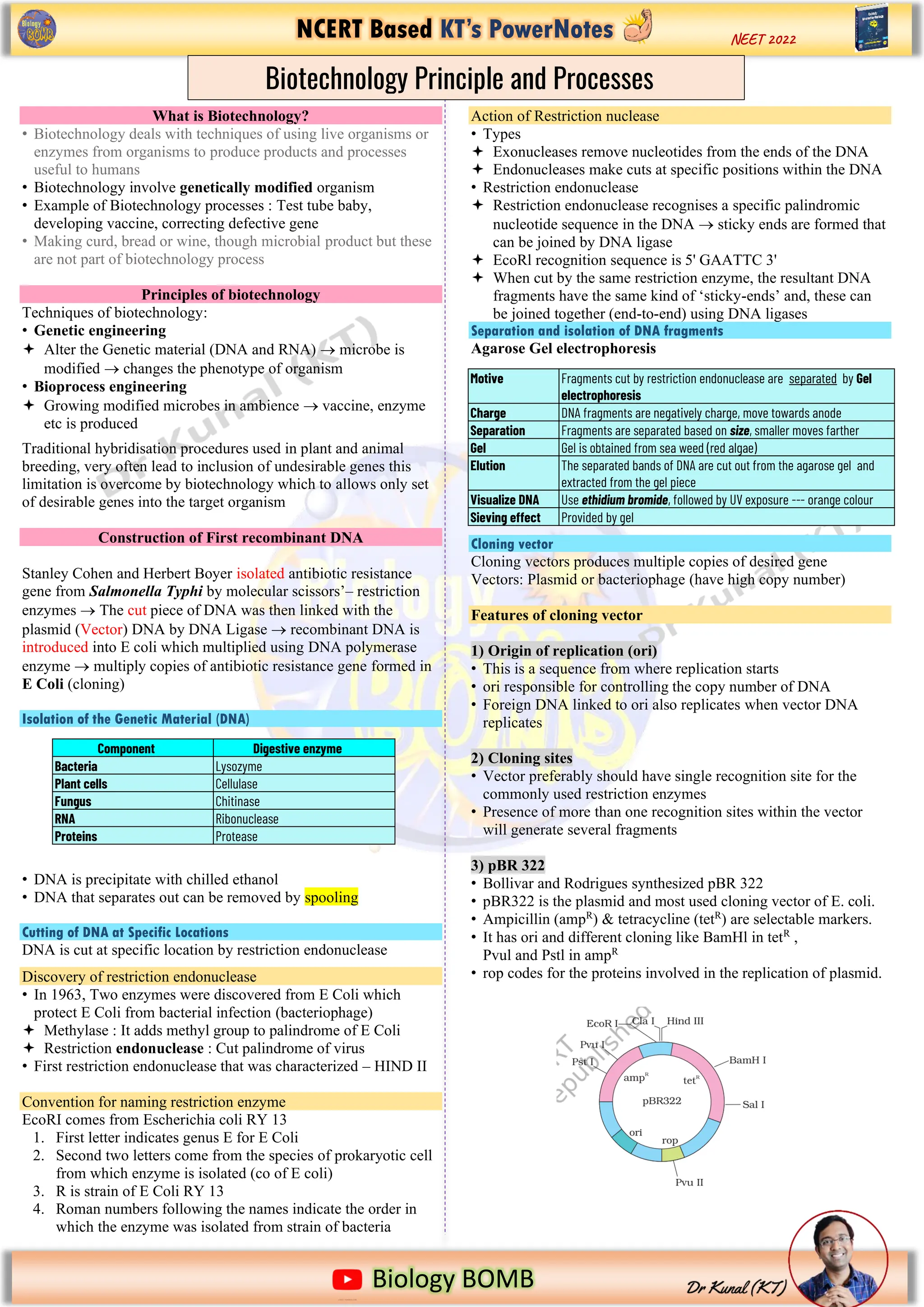 NCERT Based KT’s PowerNotes
https://www.google.com/imgres?imgurl=https%3A%2F%2Fi.pinimg.com%2Foriginals%2F2b%2Fd5%2F13%2F2bd5136ecf91f8f079093
Biology BOMB
NEET 2022
What is Biotechnology?
• Biotechnology deals with techniques of using live organisms or
enzymes from organisms to produce products and processes
useful to humans
• Biotechnology involve genetically modified organism
• Example of Biotechnology processes : Test tube baby,
developing vaccine, correcting defective gene
• Making curd, bread or wine, though microbial product but these
are not part of biotechnology process
Principles of biotechnology
Techniques of biotechnology:
• Genetic engineering
 Alter the Genetic material (DNA and RNA) → microbe is
modified → changes the phenotype of organism
• Bioprocess engineering
 Growing modified microbes in ambience → vaccine, enzyme
etc is produced
Traditional hybridisation procedures used in plant and animal
breeding, very often lead to inclusion of undesirable genes this
limitation is overcome by biotechnology which to allows only set
of desirable genes into the target organism
Construction of First recombinant DNA
Stanley Cohen and Herbert Boyer isolated antibiotic resistance
gene from Salmonella Typhi by molecular scissors’– restriction
enzymes → The cut piece of DNA was then linked with the
plasmid (Vector) DNA by DNA Ligase → recombinant DNA is
introduced into E coli which multiplied using DNA polymerase
enzyme → multiply copies of antibiotic resistance gene formed in
E Coli (cloning)
Isolation of the Genetic Material (DNA)
• DNA is precipitate with chilled ethanol
• DNA that separates out can be removed by spooling
Cutting of DNA at Specific Locations
DNA is cut at specific location by restriction endonuclease
Discovery of restriction endonuclease
• In 1963, Two enzymes were discovered from E Coli which
protect E Coli from bacterial infection (bacteriophage)
 Methylase : It adds methyl group to palindrome of E Coli
 Restriction endonuclease : Cut palindrome of virus
• First restriction endonuclease that was characterized – HIND II
Convention for naming restriction enzyme
EcoRI comes from Escherichia coli RY 13
1. First letter indicates genus E for E Coli
2. Second two letters come from the species of prokaryotic cell
from which enzyme is isolated (co of E coli)
3. R is strain of E Coli RY 13
4. Roman numbers following the names indicate the order in
which the enzyme was isolated from strain of bacteria
Action of Restriction nuclease
• Types
 Exonucleases remove nucleotides from the ends of the DNA
 Endonucleases make cuts at specific positions within the DNA
• Restriction endonuclease
 Restriction endonuclease recognises a specific palindromic
nucleotide sequence in the DNA → sticky ends are formed that
can be joined by DNA ligase
 EcoRl recognition sequence is 5' GAATTC 3'
 When cut by the same restriction enzyme, the resultant DNA
fragments have the same kind of ‘sticky-ends’ and, these can
be joined together (end-to-end) using DNA ligases
Separation and isolation of DNA fragments
Agarose Gel electrophoresis
Cloning vector
Cloning vectors produces multiple copies of desired gene
Vectors: Plasmid or bacteriophage (have high copy number)
Features of cloning vector
1) Origin of replication (ori)
• This is a sequence from where replication starts
• ori responsible for controlling the copy number of DNA
• Foreign DNA linked to ori also replicates when vector DNA
replicates
2) Cloning sites
• Vector preferably should have single recognition site for the
commonly used restriction enzymes
• Presence of more than one recognition sites within the vector
will generate several fragments
3) pBR 322
• Bollivar and Rodrigues synthesized pBR 322
• pBR322 is the plasmid and most used cloning vector of E. coli.
• Ampicillin (ampR
) & tetracycline (tetR
) are selectable markers.
• It has ori and different cloning like BamHl in tetR
,
Pvul and Pstl in ampR
• rop codes for the proteins involved in the replication of plasmid.
Motive Fragments cut by restriction endonuclease are separated by Gel
electrophoresis
Charge DNA fragments are negatively charge, move towards anode
Separation Fragments are separated based on size, smaller moves farther
Gel Gel is obtained from sea weed (red algae)
Elution The separated bands of DNA are cut out from the agarose gel and
extracted from the gel piece
Visualize DNA Use ethidium bromide, followed by UV exposure --- orange colour
Sieving effect Provided by gel
Biotechnology Principle and Processes
Component Digestive enzyme
Bacteria Lysozyme
Plant cells Cellulase
Fungus Chitinase
RNA Ribonuclease
Proteins Protease
 