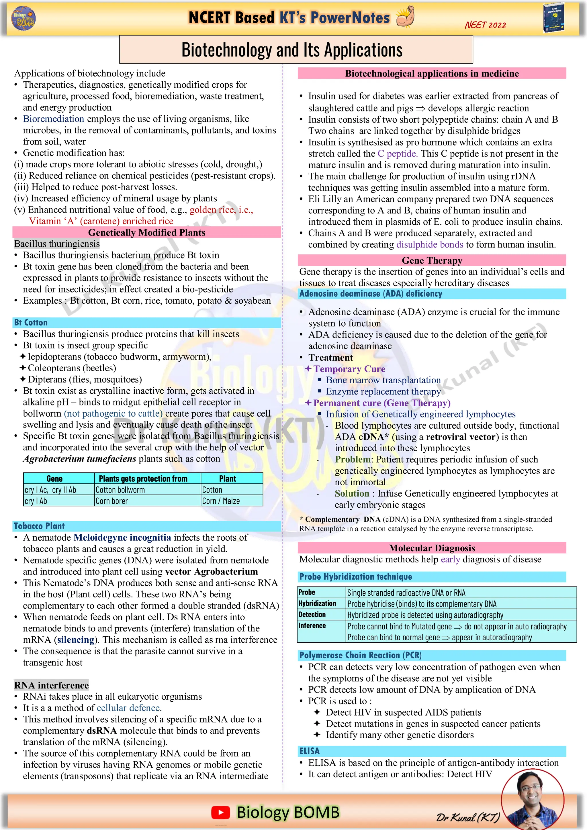 NCERT Based KT’s PowerNotes
https://www.google.com/imgres?imgurl=https%3A%2F%2Fi.pinimg.com%2Foriginals%2F2b%2Fd5%2F13%2F2bd5136ecf91f8f079093
Biology BOMB
NEET 2022
Applications of biotechnology include
• Therapeutics, diagnostics, genetically modified crops for
agriculture, processed food, bioremediation, waste treatment,
and energy production
• Bioremediation employs the use of living organisms, like
microbes, in the removal of contaminants, pollutants, and toxins
from soil, water
• Genetic modification has:
(i) made crops more tolerant to abiotic stresses (cold, drought,)
(ii) Reduced reliance on chemical pesticides (pest-resistant crops).
(iii) Helped to reduce post-harvest losses.
(iv) Increased efficiency of mineral usage by plants
(v) Enhanced nutritional value of food, e.g., golden rice, i.e.,
Vitamin ‘A’ (carotene) enriched rice
Genetically Modified Plants
Bacillus thuringiensis
• Bacillus thuringiensis bacterium produce Bt toxin
• Bt toxin gene has been cloned from the bacteria and been
expressed in plants to provide resistance to insects without the
need for insecticides; in effect created a bio-pesticide
• Examples : Bt cotton, Bt corn, rice, tomato, potato & soyabean
Bt Cotton
• Bacillus thuringiensis produce proteins that kill insects
• Bt toxin is insect group specific
lepidopterans (tobacco budworm, armyworm),
Coleopterans (beetles)
Dipterans (flies, mosquitoes)
• Bt toxin exist as crystalline inactive form, gets activated in
alkaline pH – binds to midgut epithelial cell receptor in
bollworm (not pathogenic to cattle) create pores that cause cell
swelling and lysis and eventually cause death of the insect
• Specific Bt toxin genes were isolated from Bacillus thuringiensis
and incorporated into the several crop with the help of vector
Agrobacterium tumefaciens plants such as cotton
Tobacco Plant
• A nematode Meloidegyne incognitia infects the roots of
tobacco plants and causes a great reduction in yield.
• Nematode specific genes (DNA) were isolated from nematode
and introduced into plant cell using vector Agrobacterium
• This Nematode’s DNA produces both sense and anti-sense RNA
in the host (Plant cell) cells. These two RNA’s being
complementary to each other formed a double stranded (dsRNA)
• When nematode feeds on plant cell. Ds RNA enters into
nematode binds to and prevents (interfere) translation of the
mRNA (silencing). This mechanism is called as rna interference
• The consequence is that the parasite cannot survive in a
transgenic host
RNA interference
• RNAi takes place in all eukaryotic organisms
• It is a a method of cellular defence.
• This method involves silencing of a specific mRNA due to a
complementary dsRNA molecule that binds to and prevents
translation of the mRNA (silencing).
• The source of this complementary RNA could be from an
infection by viruses having RNA genomes or mobile genetic
elements (transposons) that replicate via an RNA intermediate
Biotechnological applications in medicine
• Insulin used for diabetes was earlier extracted from pancreas of
slaughtered cattle and pigs  develops allergic reaction
• Insulin consists of two short polypeptide chains: chain A and B
Two chains are linked together by disulphide bridges
• Insulin is synthesised as pro hormone which contains an extra
stretch called the C peptide. This C peptide is not present in the
mature insulin and is removed during maturation into insulin.
• The main challenge for production of insulin using rDNA
techniques was getting insulin assembled into a mature form.
• Eli Lilly an American company prepared two DNA sequences
corresponding to A and B, chains of human insulin and
introduced them in plasmids of E. coli to produce insulin chains.
• Chains A and B were produced separately, extracted and
combined by creating disulphide bonds to form human insulin.
Gene Therapy
Gene therapy is the insertion of genes into an individual’s cells and
tissues to treat diseases especially hereditary diseases
Adenosine deaminase (ADA) deficiency
• Adenosine deaminase (ADA) enzyme is crucial for the immune
system to function
• ADA deficiency is caused due to the deletion of the gene for
adenosine deaminase
• Treatment
Temporary Cure
 Bone marrow transplantation
 Enzyme replacement therapy
Permanent cure (Gene Therapy)
 Infusion of Genetically engineered lymphocytes
- Blood lymphocytes are cultured outside body, functional
ADA cDNA* (using a retroviral vector) is then
introduced into these lymphocytes
- Problem: Patient requires periodic infusion of such
genetically engineered lymphocytes as lymphocytes are
not immortal
- Solution : Infuse Genetically engineered lymphocytes at
early embryonic stages
* Complementary DNA (cDNA) is a DNA synthesized from a single-stranded
RNA template in a reaction catalysed by the enzyme reverse transcriptase.
Molecular Diagnosis
Molecular diagnostic methods help early diagnosis of disease
Probe Hybridization technique
Polymerase Chain Reaction (PCR)
• PCR can detects very low concentration of pathogen even when
the symptoms of the disease are not yet visible
• PCR detects low amount of DNA by amplication of DNA
• PCR is used to :
 Detect HIV in suspected AIDS patients
 Detect mutations in genes in suspected cancer patients
 Identify many other genetic disorders
ELISA
• ELISA is based on the principle of antigen-antibody interaction
• It can detect antigen or antibodies: Detect HIV
Biotechnology and Its Applications
Gene Plants gets protection from Plant
cry I Ac, cry II Ab Cotton bollworm Cotton
cry I Ab Corn borer Corn / Maize
Probe Single stranded radioactive DNA or RNA
Hybridization Probe hybridise (binds) to its complementary DNA
Detection Hybridized probe is detected using autoradiography
Inference Probe cannot bind to Mutated gene  do not appear in auto radiography
Probe can bind to normal gene  appear in autoradiography
 