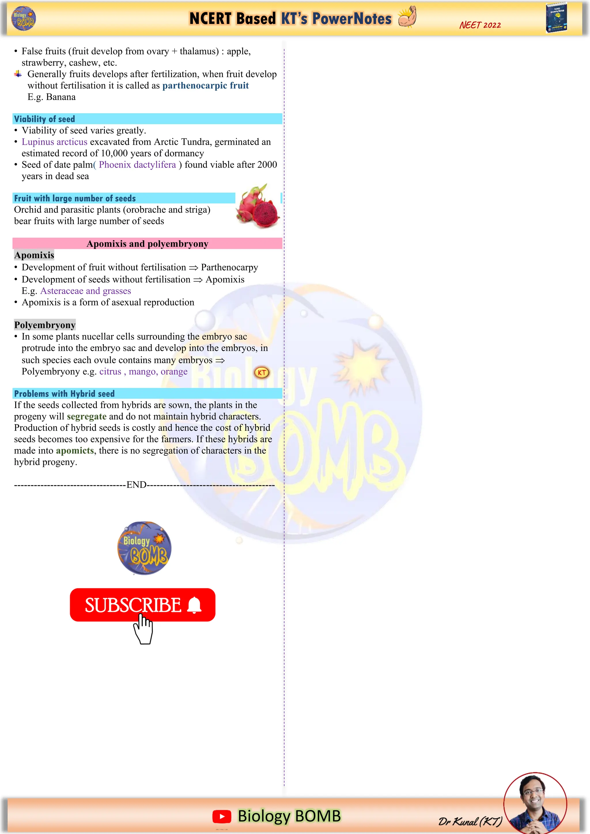 NCERT Based KT’s PowerNotes
https://www.google.com/imgres?imgurl=https%3A%2F%2Fi.pinimg.com%2Foriginals%2F2b%2Fd5%2F13%2F2bd5136ecf91f8f079093
Biology BOMB
NEET 2022
• False fruits (fruit develop from ovary + thalamus) : apple,
strawberry, cashew, etc.
Generally fruits develops after fertilization, when fruit develop
without fertilisation it is called as parthenocarpic fruit
E.g. Banana
Viability of seed
• Viability of seed varies greatly.
• Lupinus arcticus excavated from Arctic Tundra, germinated an
estimated record of 10,000 years of dormancy
• Seed of date palm( Phoenix dactylifera ) found viable after 2000
years in dead sea
Fruit with large number of seeds
Orchid and parasitic plants (orobrache and striga)
bear fruits with large number of seeds
Apomixis and polyembryony
Apomixis
• Development of fruit without fertilisation  Parthenocarpy
• Development of seeds without fertilisation  Apomixis
E.g. Asteraceae and grasses
• Apomixis is a form of asexual reproduction
Polyembryony
• In some plants nucellar cells surrounding the embryo sac
protrude into the embryo sac and develop into the embryos, in
such species each ovule contains many embryos 
Polyembryony e.g. citrus , mango, orange
Problems with Hybrid seed
If the seeds collected from hybrids are sown, the plants in the
progeny will segregate and do not maintain hybrid characters.
Production of hybrid seeds is costly and hence the cost of hybrid
seeds becomes too expensive for the farmers. If these hybrids are
made into apomicts, there is no segregation of characters in the
hybrid progeny.
----------------------------------END---------------------------------------
 