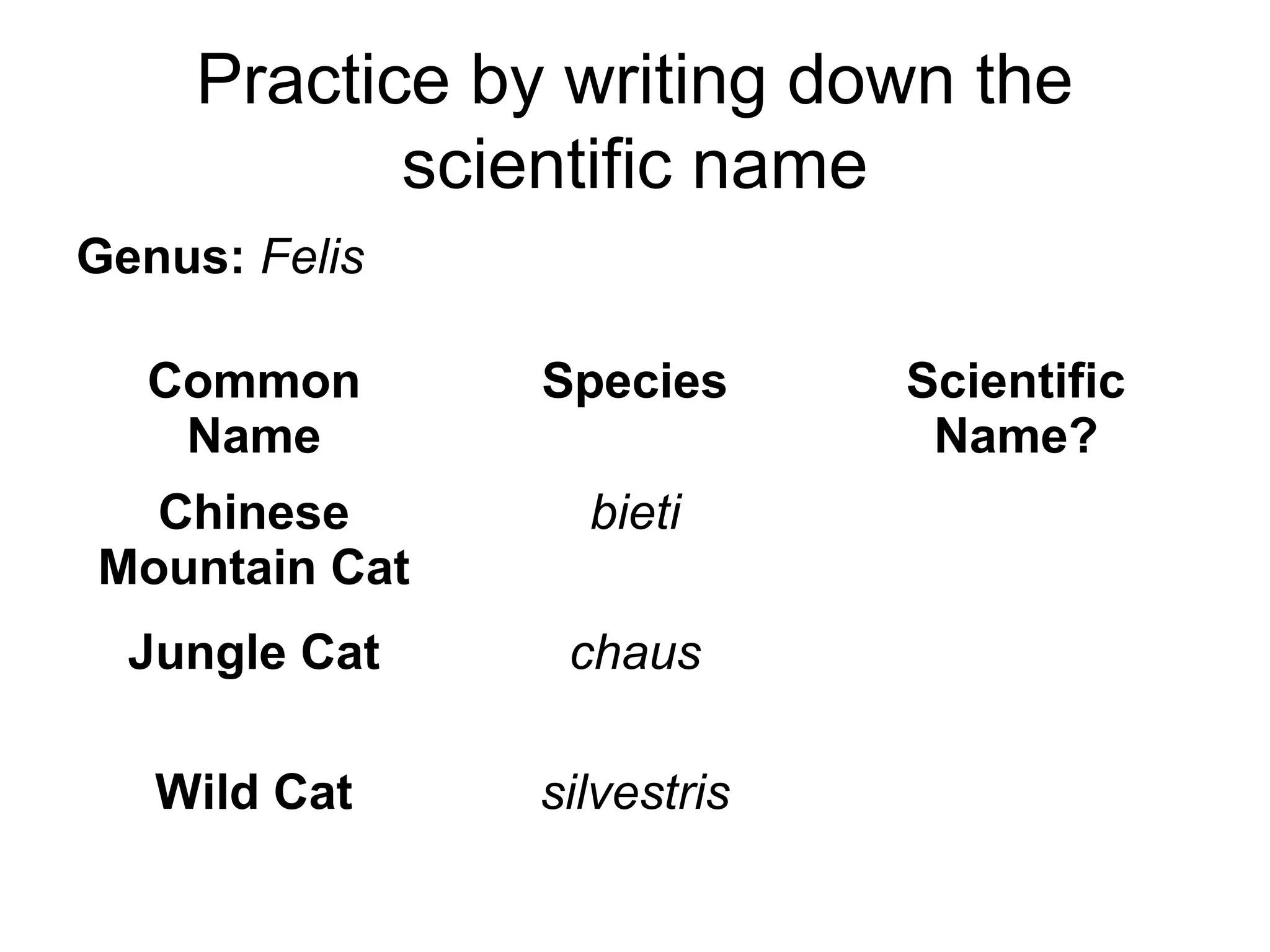 Practice by writing down the
scientific name
Genus: Felis
Common
Name

Species

Chinese
Mountain Cat

bieti

Jungle Cat

chaus

Wild Cat

silvestris

Scientific
Name?

 