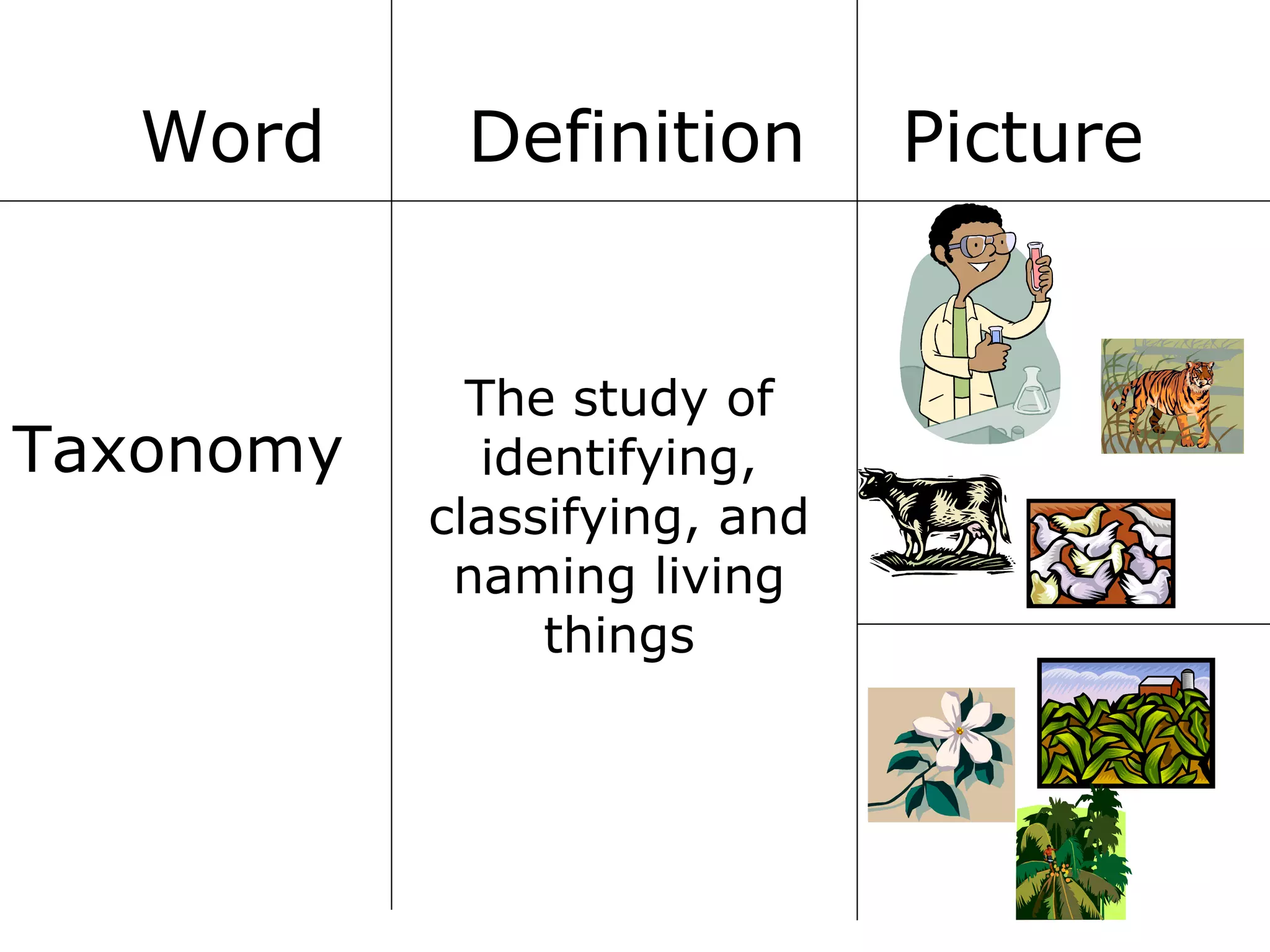 Word

Taxonomy

Definition

The study of
identifying,
classifying, and
naming living
things

Picture

 