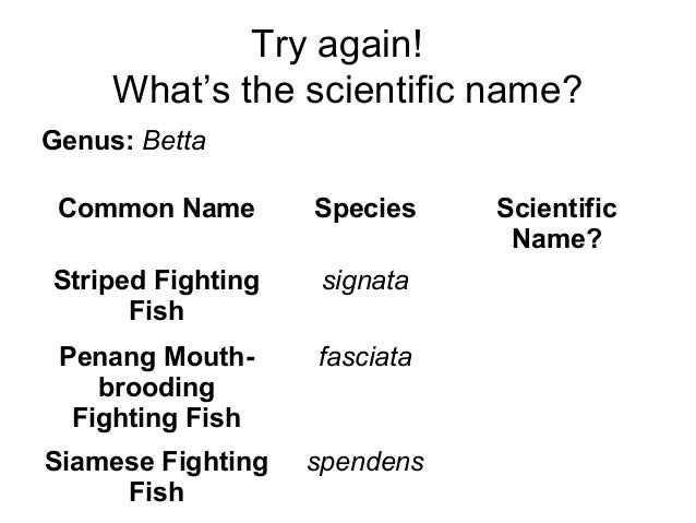 Classification and scientific names
