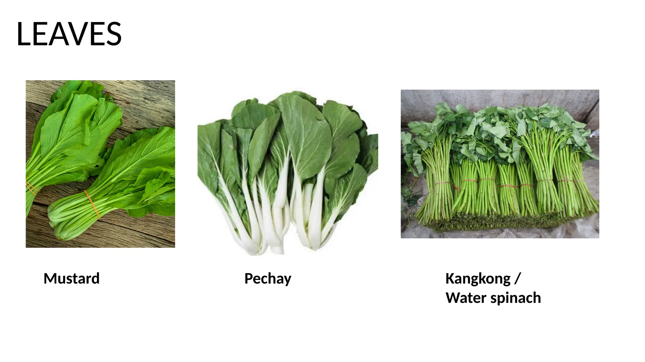 1 CLASSIFICATION OF VEGETABLES according to parts of the plants | PPTX