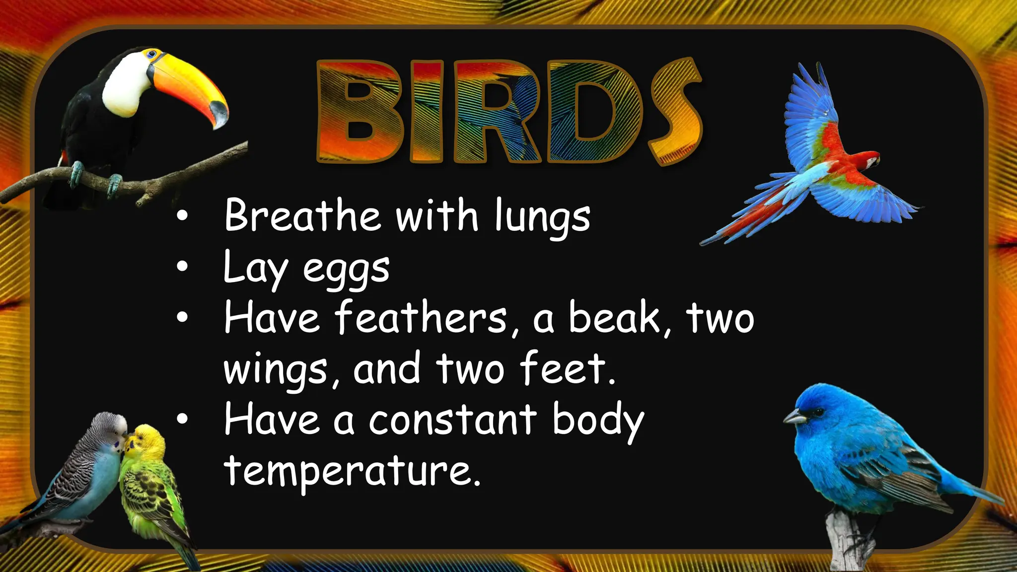 • Breathe with lungs
• Lay eggs
• Have feathers, a beak, two
wings, and two feet.
• Have a constant body
temperature.
 