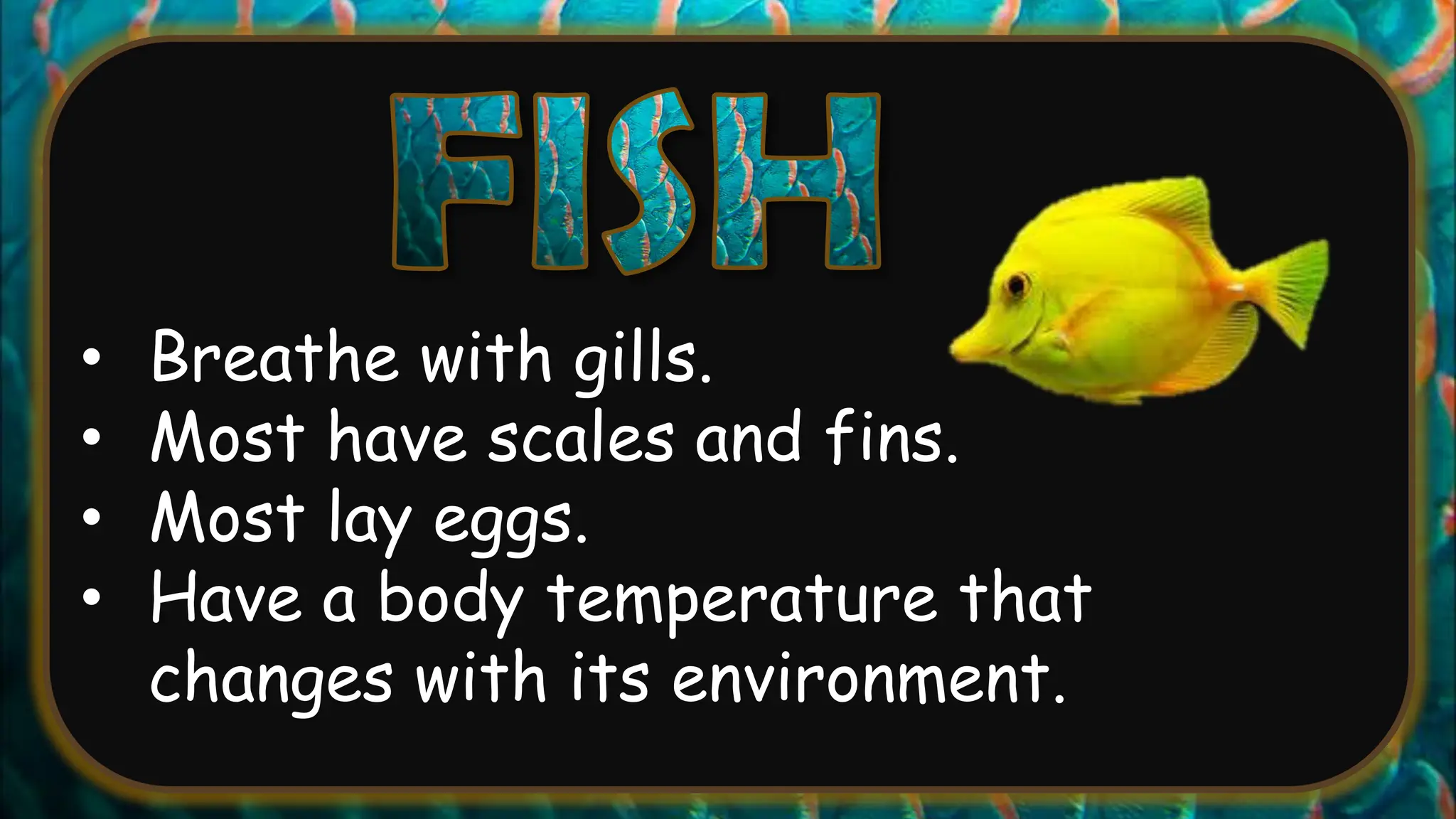 • Breathe with gills.
• Most have scales and fins.
• Most lay eggs.
• Have a body temperature that
changes with its environment.
 