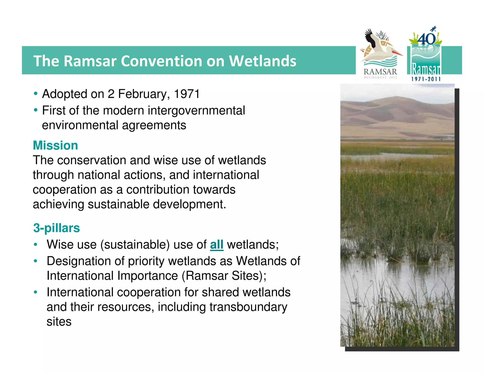 The Ramsar Convention and the Conservation and wise use of forested ...