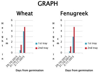 0
1
2
3
4
5
6
H
e
i
g
h
t
i
n
c
m
Days from germination
Wheat
1st tray
2nd tray
0
1
2
3
4
5
6
H
e
i
g
h
t
i
n
c
m
Days from germination
Fenugreek
1st tray
2nd tray
GRAPH
 