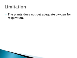  The plants does not get adequate oxygen for
respiration.
 