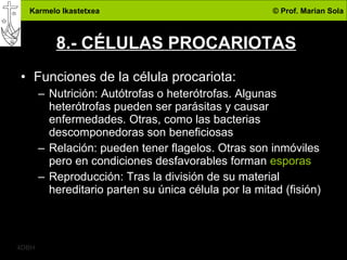 8.- CÉLULAS PROCARIOTAS Funciones de la célula procariota: Nutrición: Autótrofas o heterótrofas. Algunas heterótrofas pueden ser parásitas y causar enfermedades. Otras, como las bacterias descomponedoras son beneficiosas Relación: pueden tener flagelos. Otras son inmóviles pero en condiciones desfavorables forman  esporas Reproducción: Tras la división de su material hereditario parten su única célula por la mitad (fisión) 