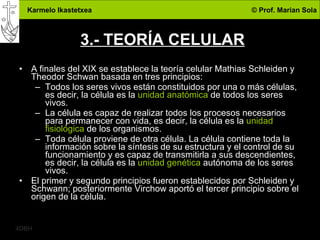3.- TEORÍA CELULAR A finales del XIX se establece la teoría celular Mathias Schleiden y Theodor Schwan basada en tres principios: Todos los seres vivos están constituidos por una o más células, es decir, la célula es la  unidad anatómica  de todos los seres vivos. La célula es capaz de realizar todos los procesos necesarios para permanecer con vida, es decir, la célula es la  unidad fisiológica  de los organismos. Toda célula proviene de otra célula. La célula contiene toda la información sobre la síntesis de su estructura y el control de su funcionamiento y es capaz de transmitirla a sus descendientes, es decir, la célula es la  unidad genética  autónoma de los seres vivos. El primer y segundo principios fueron establecidos por Schleiden y Schwann; posteriormente Virchow aportó el tercer principio sobre el origen de la célula.  