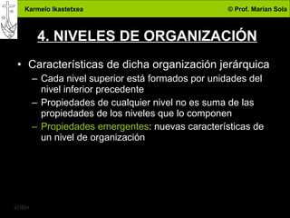 4. NIVELES DE ORGANIZACIÓN Características de dicha organización jerárquica Cada nivel superior está formados por unidades del nivel inferior precedente Propiedades de cualquier nivel no es suma de las propiedades de los niveles que lo componen Propiedades emergentes : nuevas características de un nivel de organización 