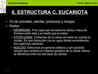 6. ESTRUCTURA C. EUCARIOTA Cs de animales, plantas, protozoos y hongos Partes: MEMBRANA : Fina capa que envuelve la célula y hace de frontera entre esta y el medio que la rodea CITOPLASMA : Contenido de la célula sin tener en cuenta al núcleo. Es una disolución rica en agua dónde encontramos los orgánulos celulares NÚCLEO : Estructura en general esférica y con posición central que contiene el material genético de la célula. Marca la diferencia entre los dos tipos de células 