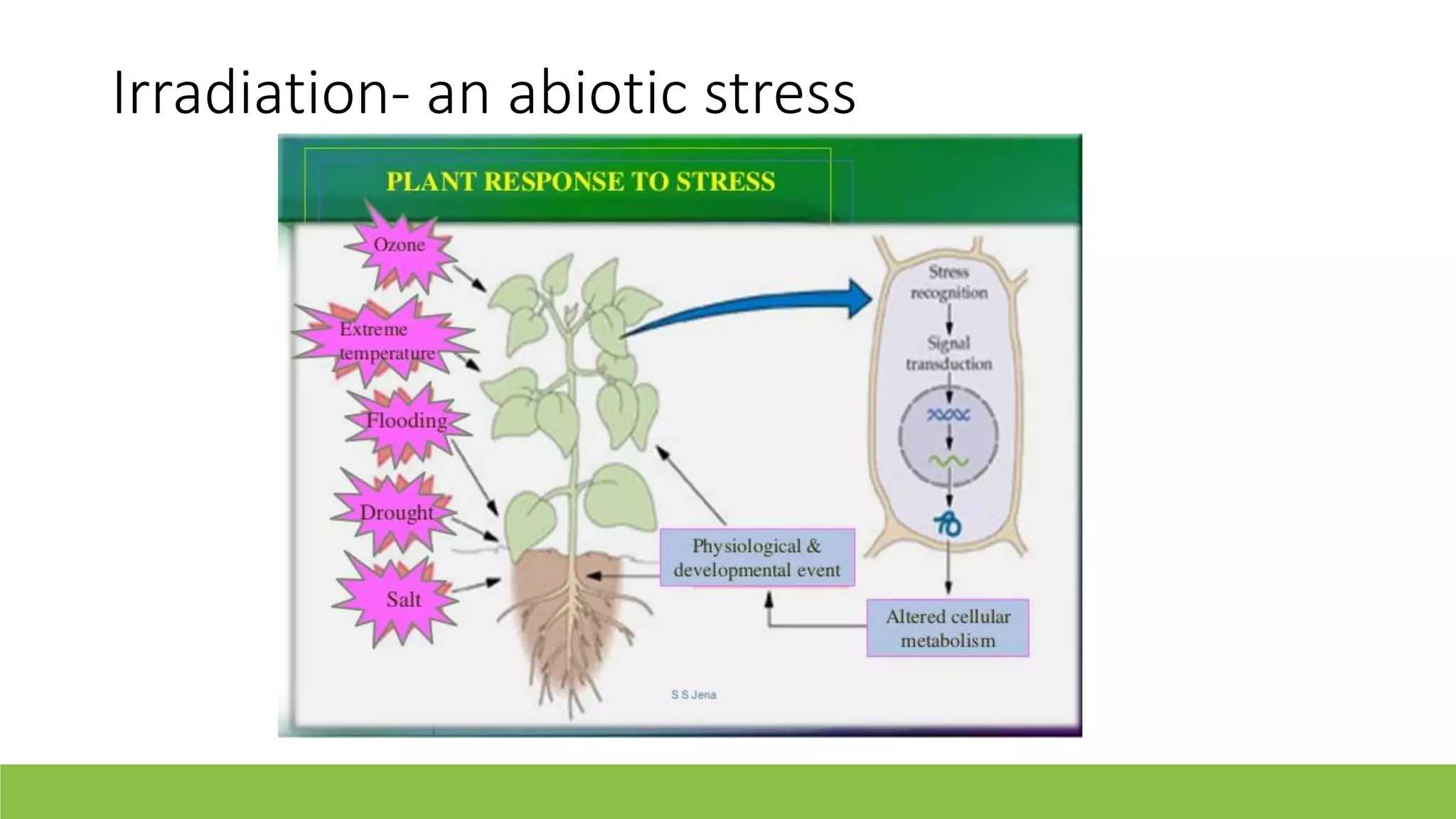 Slide 10
