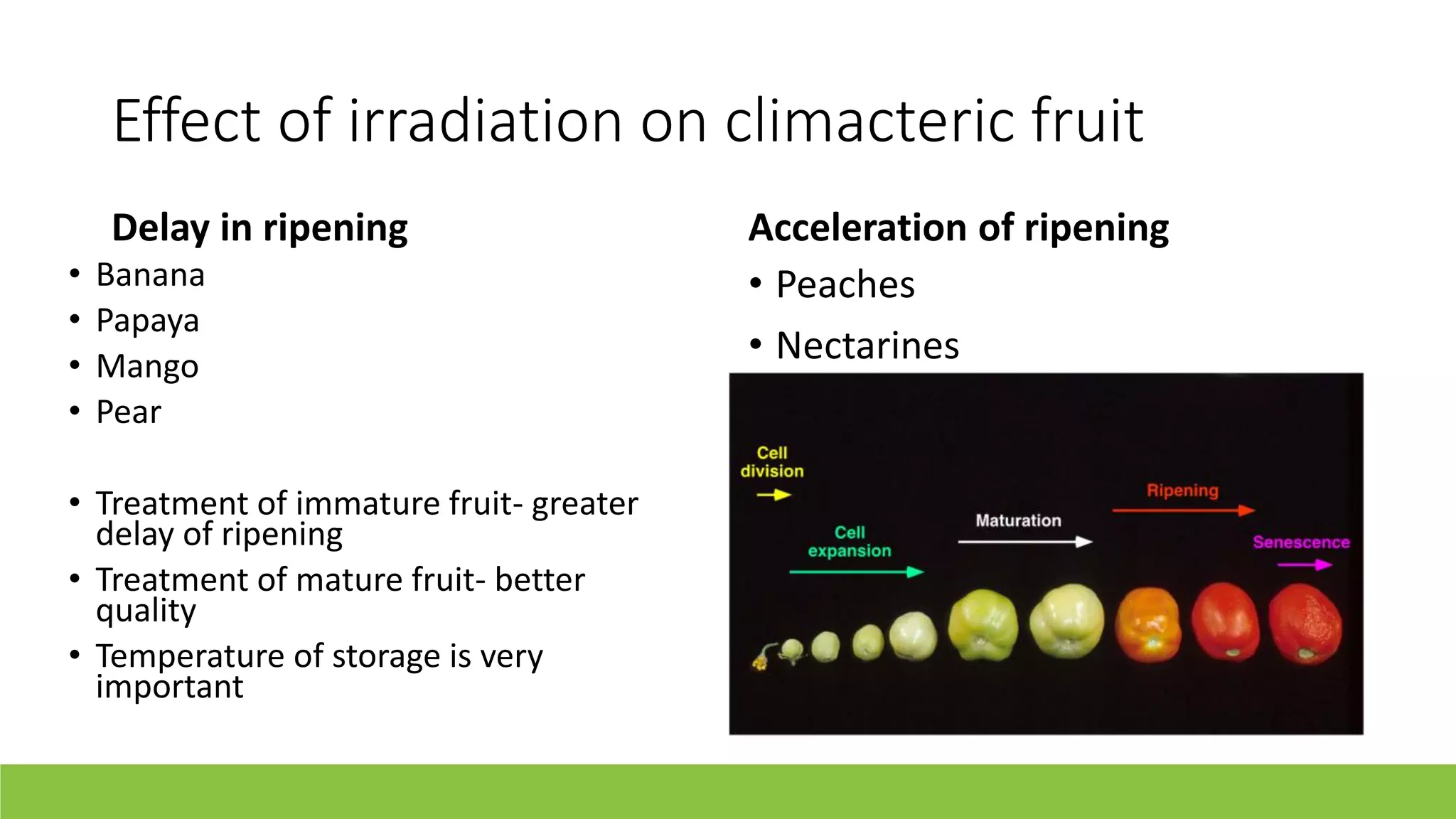 Slide 11