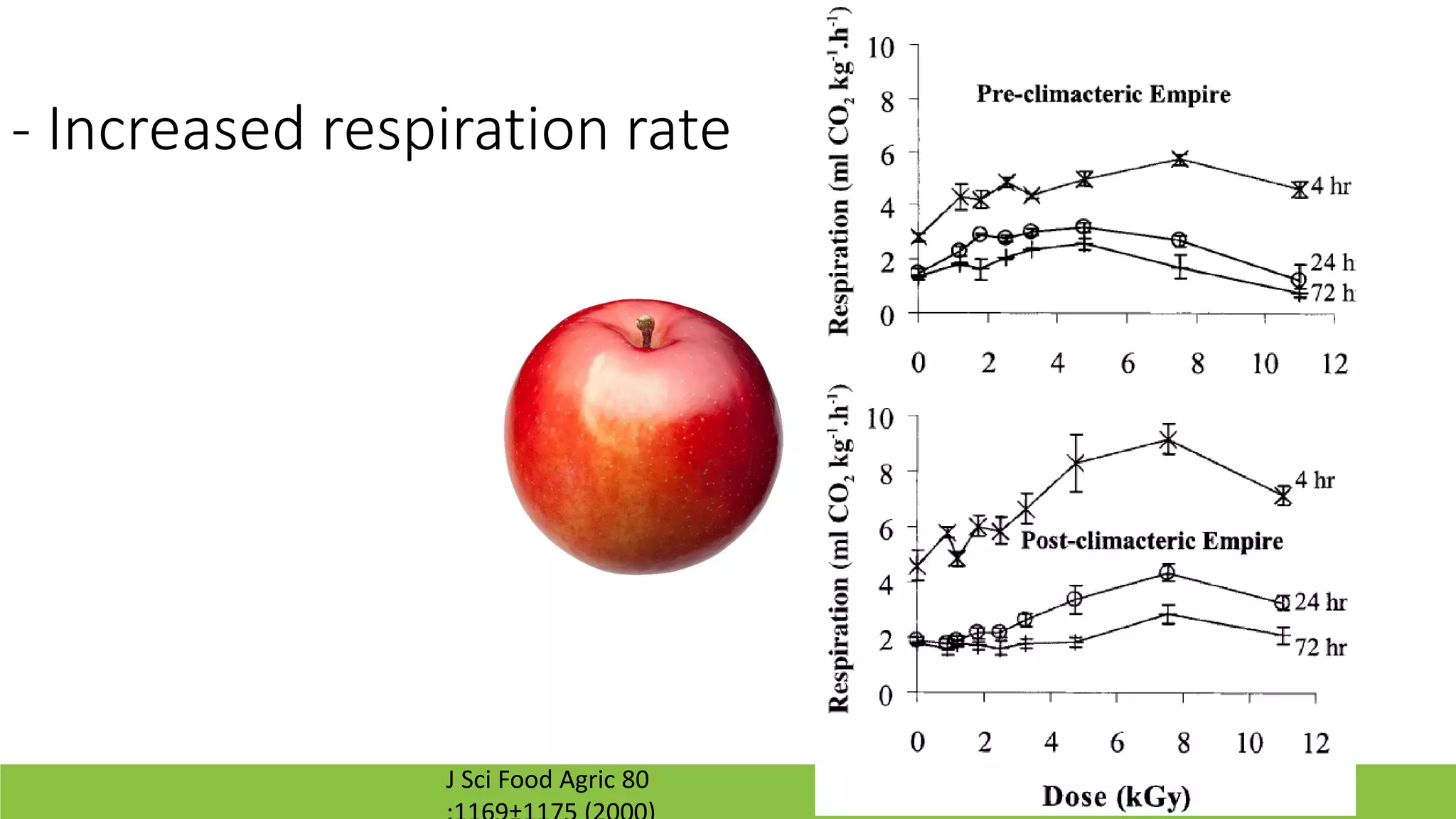 Slide 12