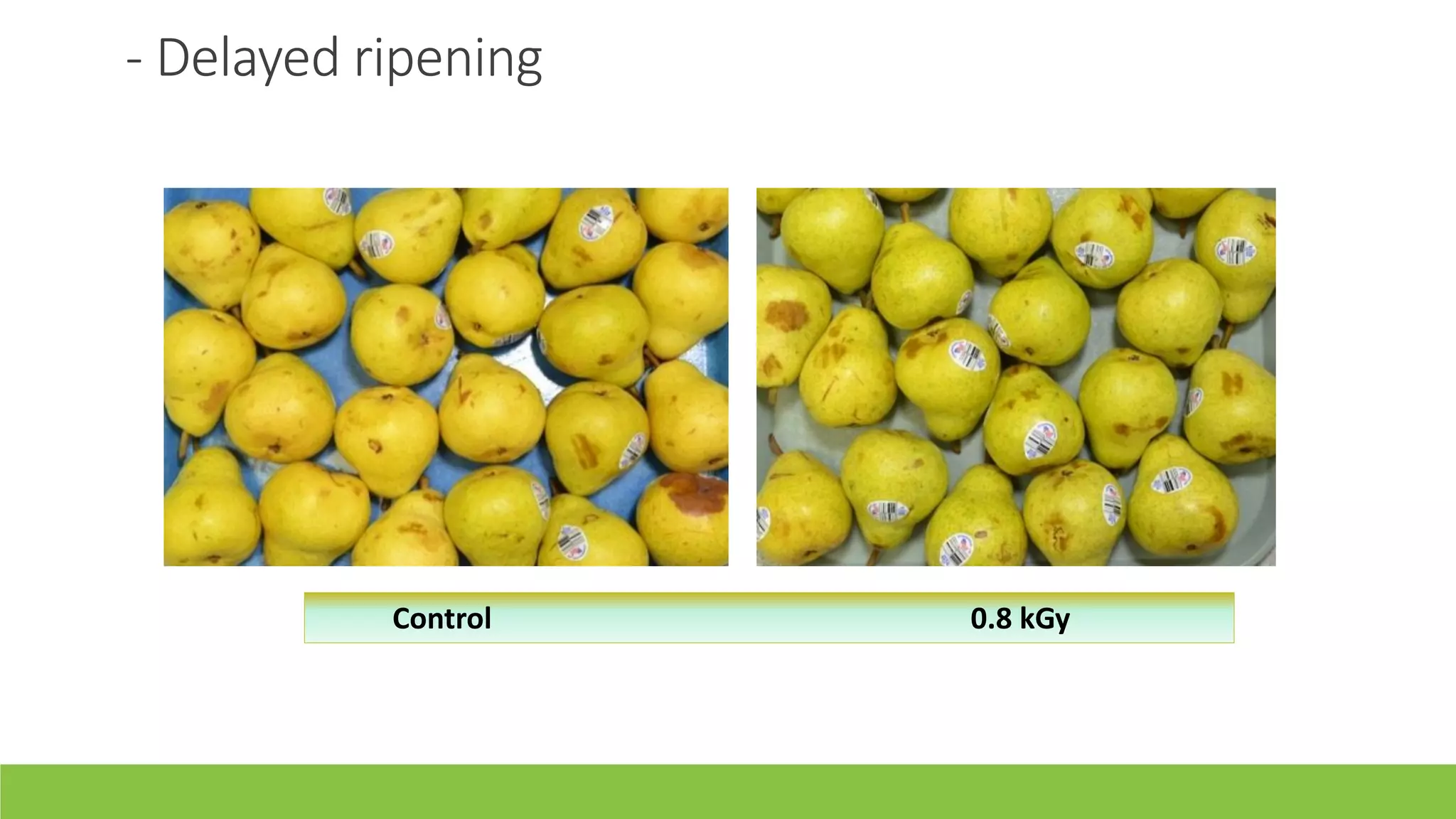 Slide 13