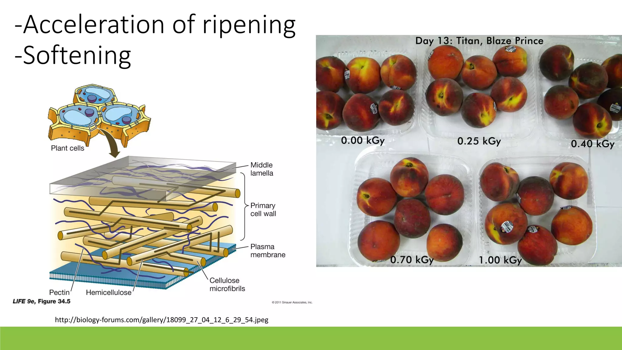 Slide 14